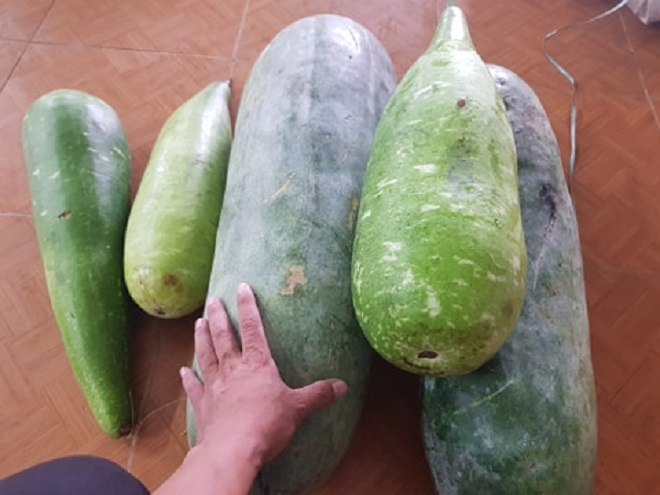 Đồng bào Ca Dong vào rừng sâu hái từng búp măng, bó rau gửi xuống vùng tâm dịch - 8