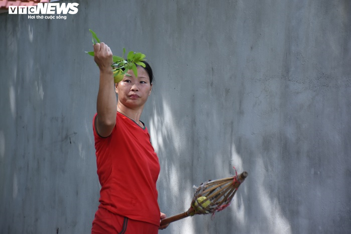 Cận cảnh rặng thị cổ gần nghìn năm tuổi ở Hải Phòng chín vàng mùa Vu Lan - 12