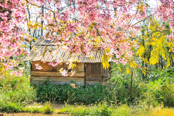 Loạt điểm du lịch vừa mở cửa đón khách dịp 2/9 vừa chống dịch - 6