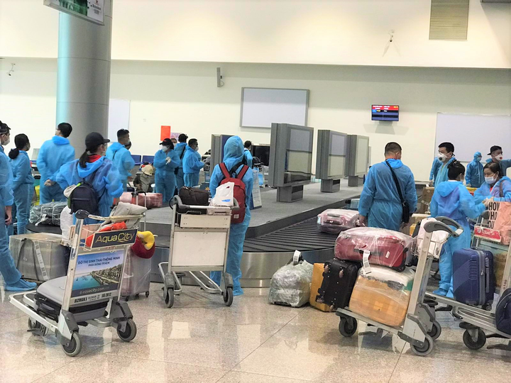 Gần 240 công dân Việt Nam về nước từ Ukraine - 1