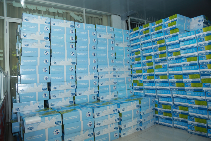 Cô Gái Hà Lan chia sẻ cùng Đà Nẵng với hàng trăm ngàn sản phẩm sữa yêu thương - 2