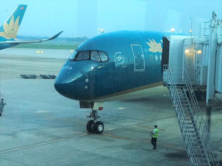 Gần 240 công dân Việt Nam về nước từ Ukraine - 2