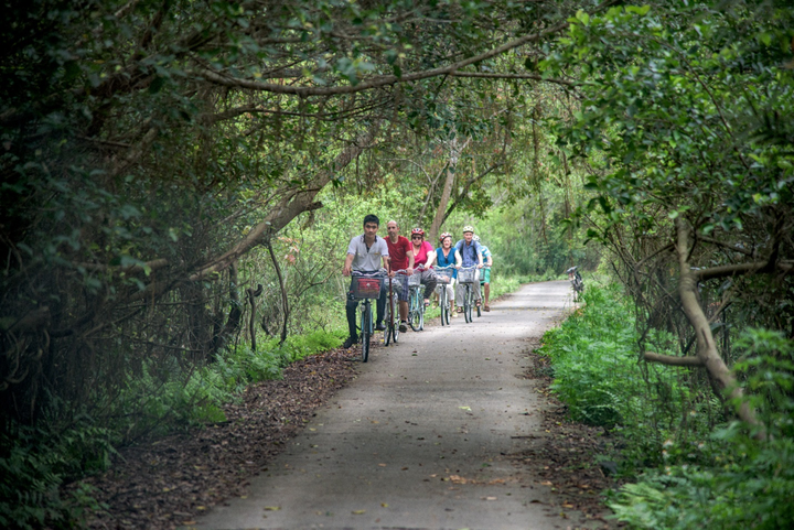 Những trải nghiệm nhất định phải thử khi du lịch Cát Bà - 2