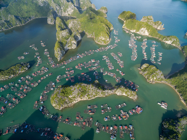 Những trải nghiệm nhất định phải thử khi du lịch Cát Bà - 3