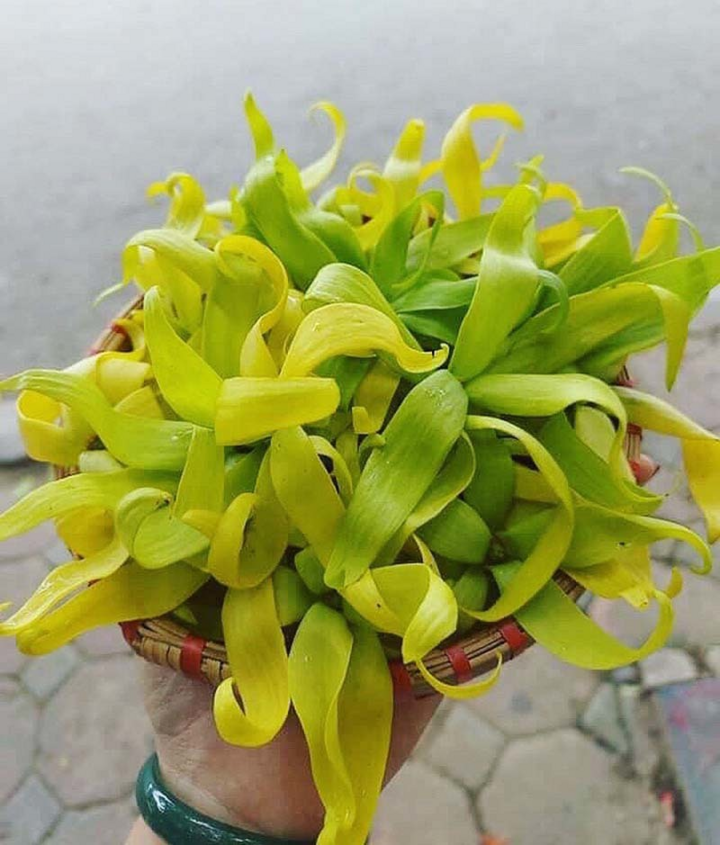 Cúng rằm tháng 7, bà nội trợ lùng mua hoa hoàng lan đắt đỏ 1,5 triệu đồng/kg - 2