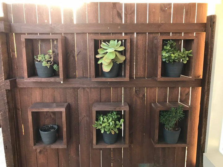 Đố bạn tìm được con trăn dài 1,8 m trong bức hình dưới đây - 1