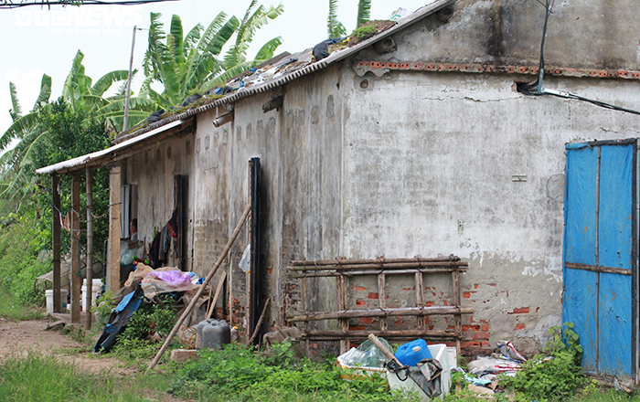 Cận cảnh 400ha đất ven biển bị Hải Phòng lãng quên, doanh nghiệp tự ý cho thuê - 5