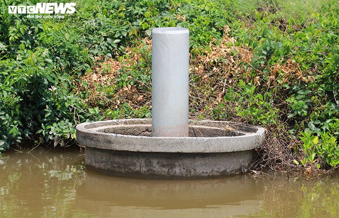 Cận cảnh 400ha đất ven biển bị Hải Phòng lãng quên, doanh nghiệp tự ý cho thuê - 9