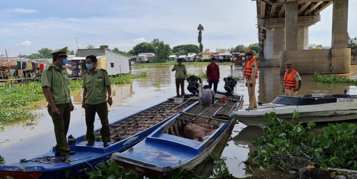 Hơn 2,8 tấn heo lậu suýt được tuồn ra thị trường - 1