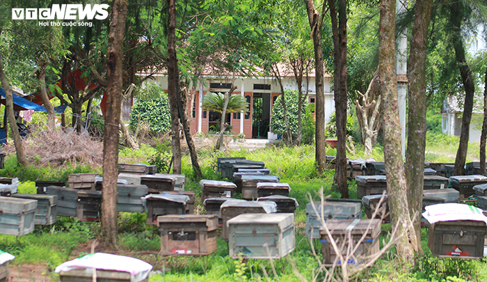 Doanh nghiệp tự ý 'phát canh thu tô' gần 400ha đất bãi bồi ven biển ở Hải Phòng - 4