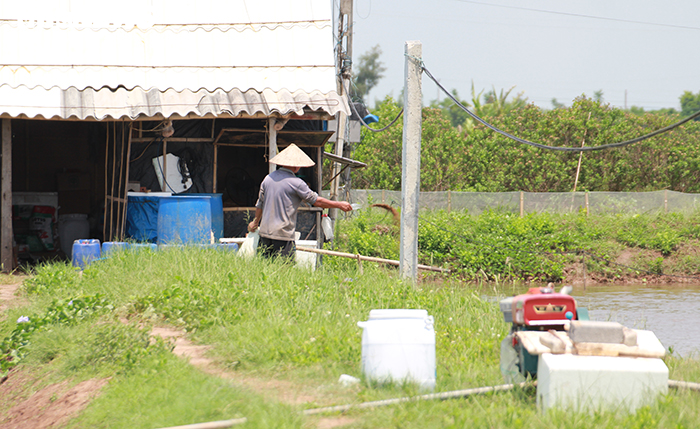 Doanh nghiệp tự ý 'phát canh thu tô' gần 400ha đất bãi bồi ven biển ở Hải Phòng - 5