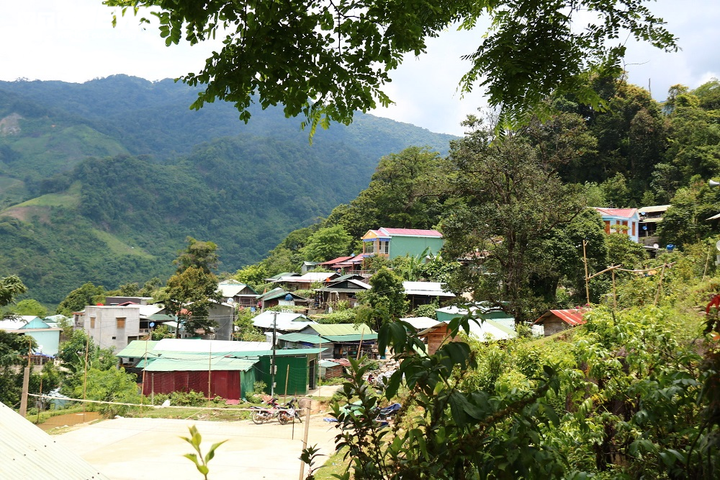 Làng tỷ phú của người Xê Đăng trên đỉnh Ngọc Linh - 2