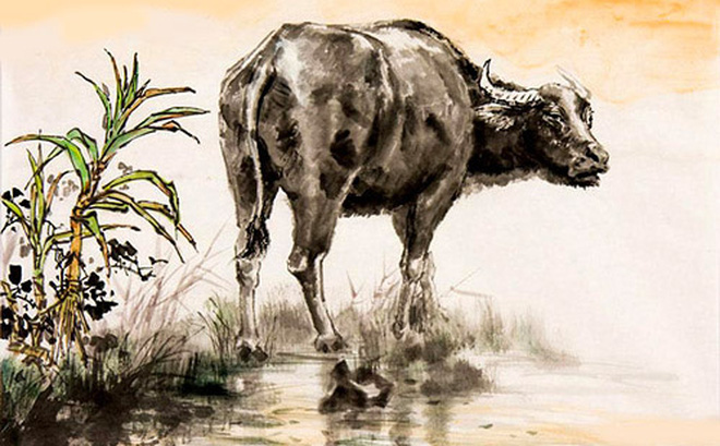 Tử vi 12 con giáp ngày 3/9: Tuổi Mùi dễ bị tiểu nhân chọc phá - 1