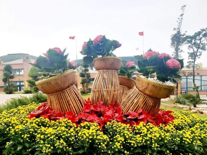 Đến 'đất thánh' Tây Ninh, say mê lễ hội miền biên viễn - 5