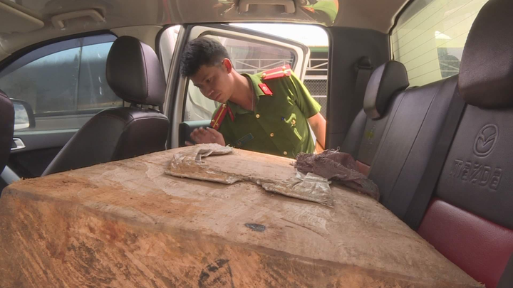 Bắt 2 giáo viên ở Đắk Lắk vận chuyển gỗ Pơ Mu quý hiếm - 1