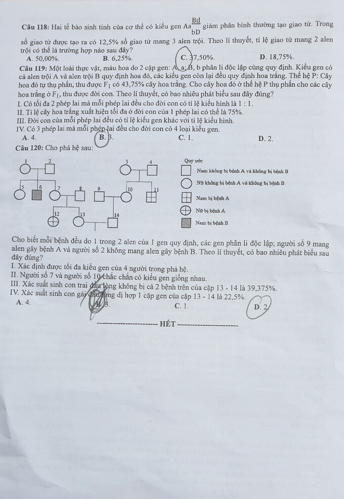 Đề môn Sinh học thi tốt nghiệp THPT 2020 đợt 2 - 4