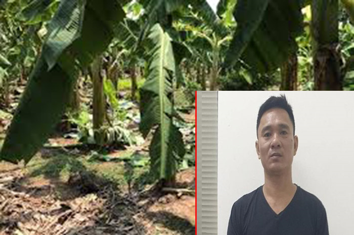 Khởi tố vụ án, tạm giữ hình sự kẻ hiếp dâm bé gái 12 tuổi ở Hà Nội - 1