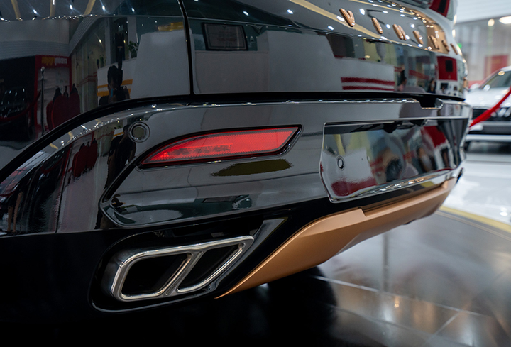 Cận cảnh VinFast President cực chất vừa ra mắt - 11