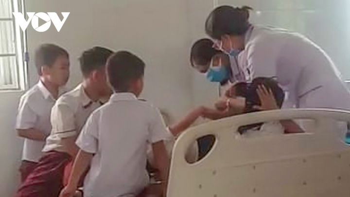 26 học sinh tiểu học nhập viện vì ong đốt - 1