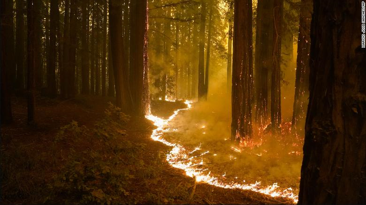 Ảnh: California chìm trong khói lửa màu cam như sao Hỏa - 3