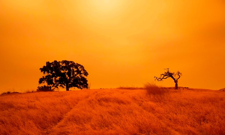 Ảnh: California chìm trong khói lửa màu cam như sao Hỏa - 8