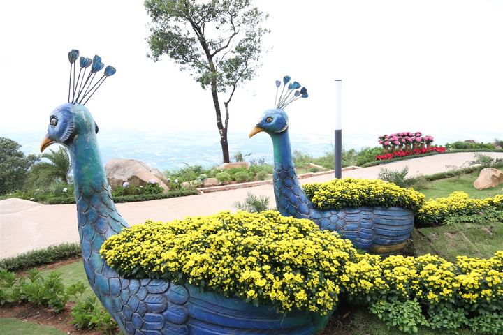 Múa lân sư Mai Hoa Thung độc đáo dịp Trung thu tại khu du lịch Núi Bà Đen - 4