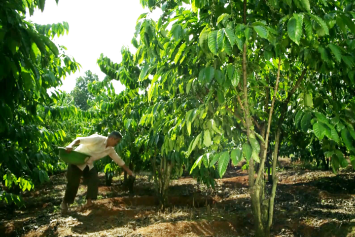 Bao giờ sửa quy định thuế GTGT về phân bón? - 2