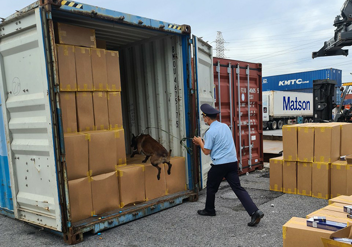 Bắt giữ 2 container chứa hơn 1 triệu bao thuốc lá 555 giả - 2