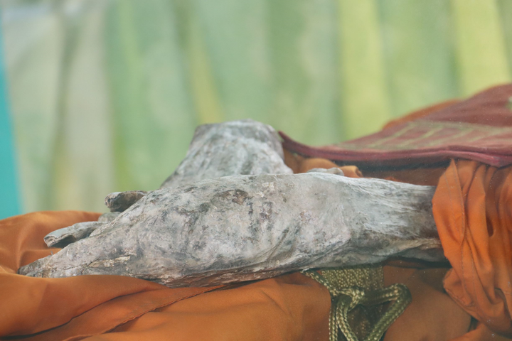 Chuyện lạ ở An Giang: Thi hài nhà sư còn nguyên vẹn sau 6 năm chôn cất - 7