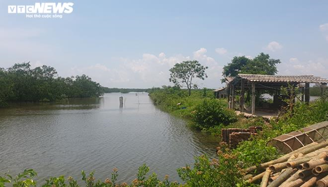 Đề xuất thu hồi gần 400ha đất bị doanh nghiệp 'phát canh thu tô' ở Hải Phòng - 2