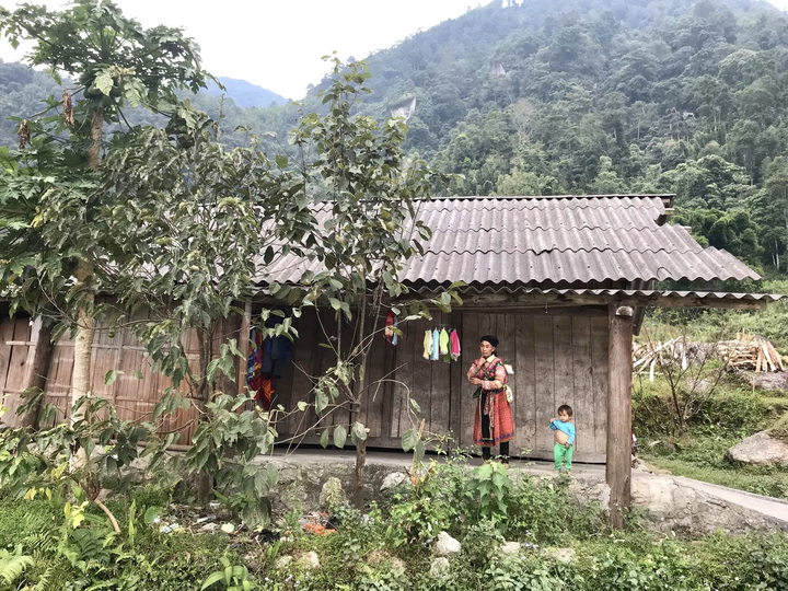 Đến Hoàng Su Phì ngắm cảnh lúa chín tuyệt đẹp - 8