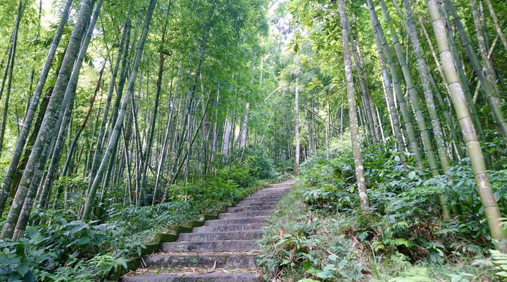 Đến Hoàng Su Phì ngắm cảnh lúa chín tuyệt đẹp - 7