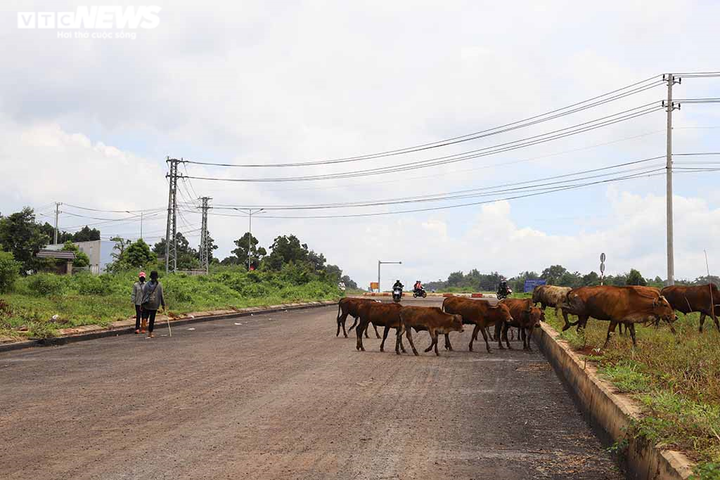 Cận cảnh dự án đội vốn lên 1.000 tỷ đồng, thi công dang dở ở Buôn Ma Thuột - 3