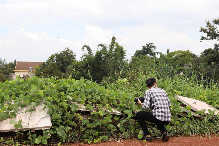 Cận cảnh dự án đội vốn lên 1.000 tỷ đồng, thi công dang dở ở Buôn Ma Thuột - 6