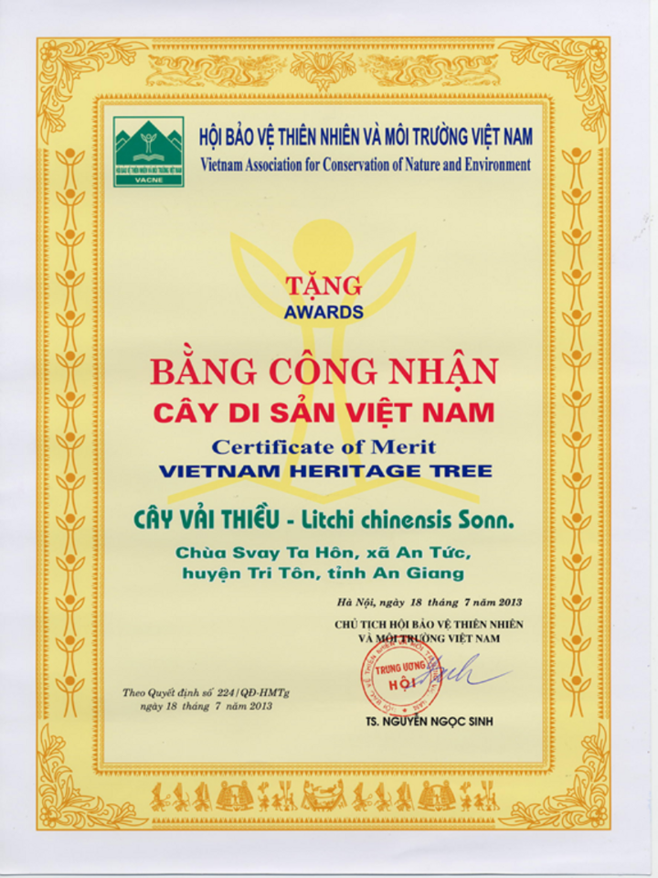 Mục sở thị 2 'cụ' vải thiều hơn 300 năm tuổi ở miền Tây - 8