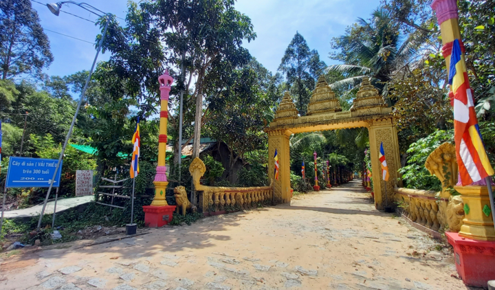 Mục sở thị 2 'cụ' vải thiều hơn 300 năm tuổi ở miền Tây - 1