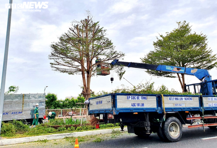 Bão số 5 tăng tốc áp sát đất liền, Đà Nẵng dốc toàn lực ứng phó - 5