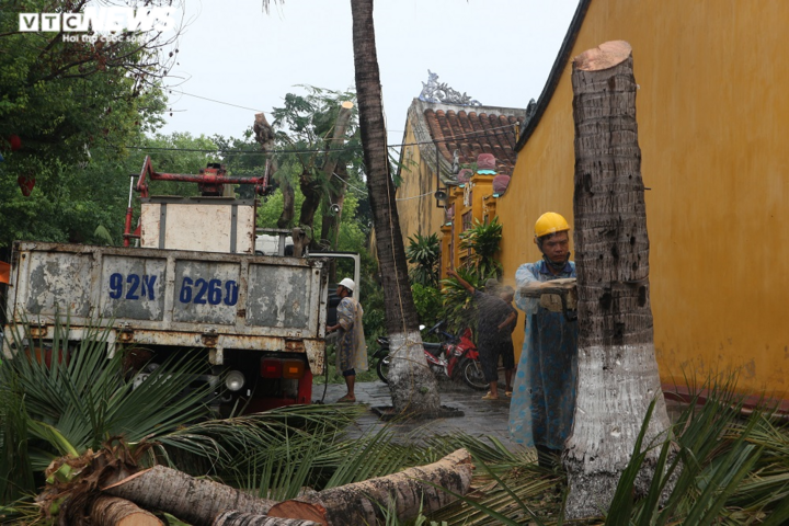 Ảnh: Phố cổ Hội An chằng chống di tích trước giờ bão số 5 đổ bộ - 8