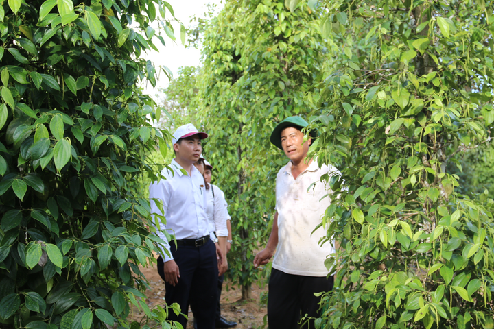 Agribank tích cực gỡ khó cho khách hàng vượt qua đại dịch - 2