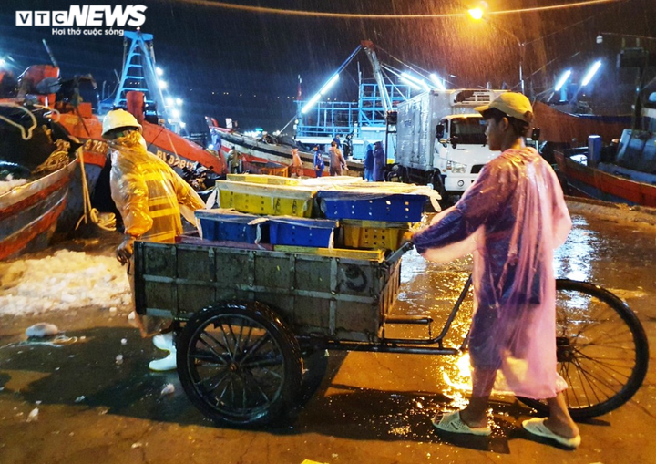 Ảnh: Ngư dân đội mưa xuyên đêm bốc cá trước giờ bão số 5 đổ bộ - 8