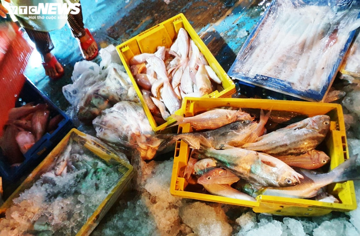 Ảnh: Ngư dân đội mưa xuyên đêm bốc cá trước giờ bão số 5 đổ bộ - 6