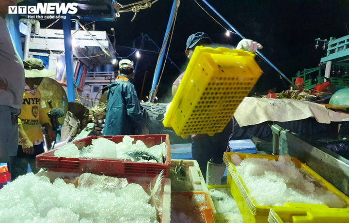 Ảnh: Ngư dân đội mưa xuyên đêm bốc cá trước giờ bão số 5 đổ bộ - 5