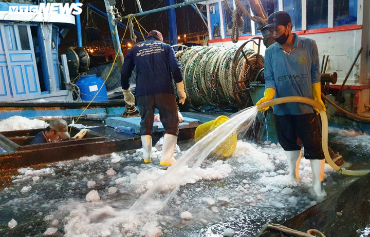 Ảnh: Ngư dân đội mưa xuyên đêm bốc cá trước giờ bão số 5 đổ bộ - 9