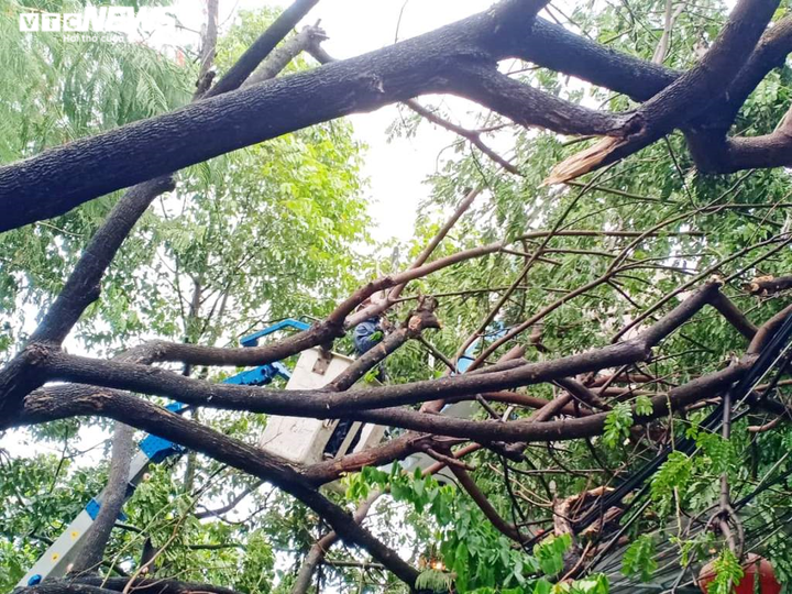  Bão số 5 đổ bộ, nhiều tuyến đường Đà Nẵng thành sông, cây ngã rạp - 5