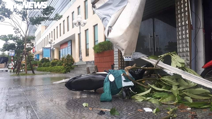 Bão số 5 quét qua Huế: Quật cây xanh bật gốc nằm la liệt, cuốn phăng mái nhà dân - 8