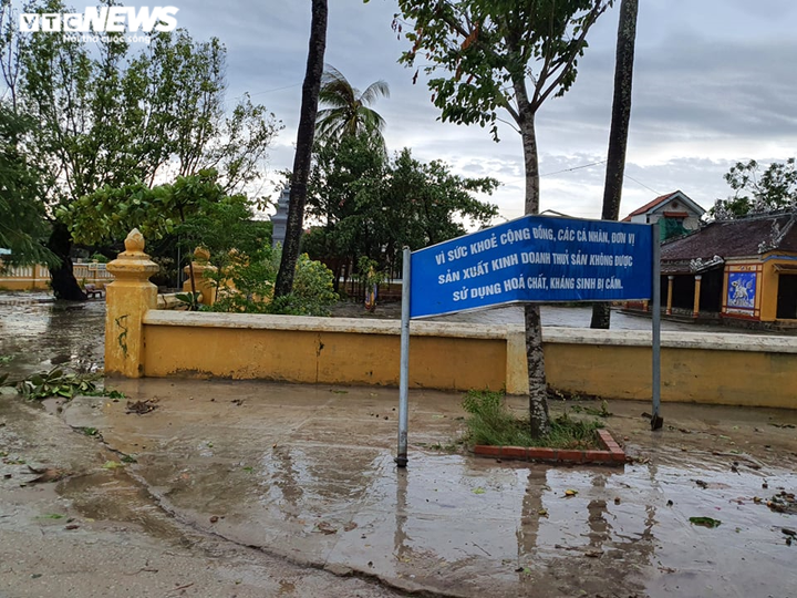 Bão số 5 quét qua Huế: Quật cây xanh bật gốc nằm la liệt, cuốn phăng mái nhà dân - 3