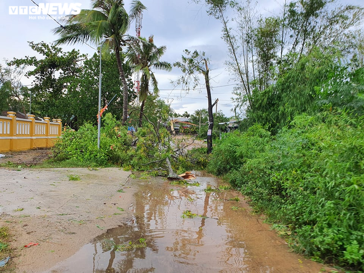 Bão số 5 quét qua Huế: Quật cây xanh bật gốc nằm la liệt, cuốn phăng mái nhà dân - 5