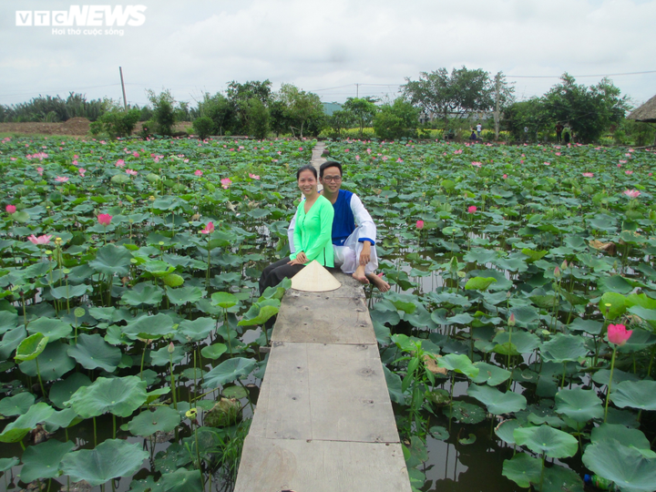 Cánh đồng bạt ngàn hoa thu hút giới trẻ TP.HCM - 11