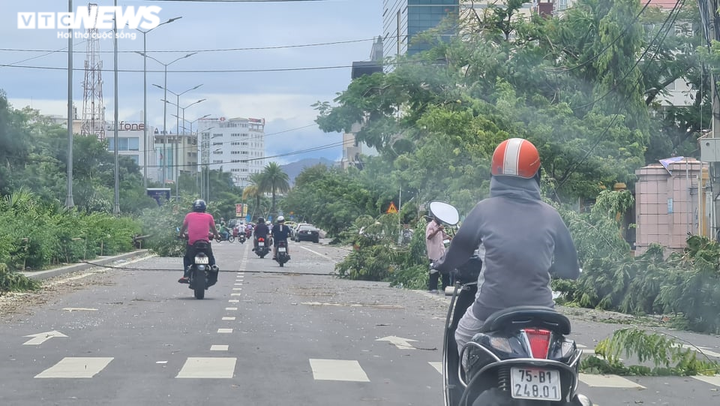 Quảng Trị - Huế tan hoang sau bão số 5, quân dân chung tay khắc phục - 14