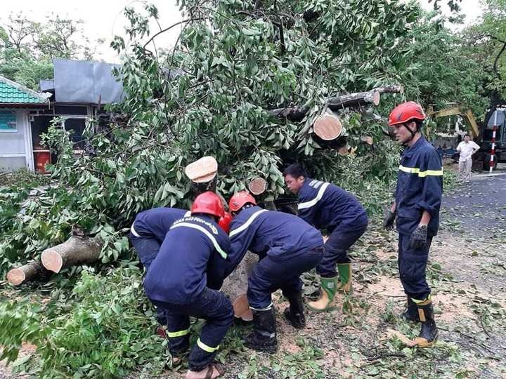 Quảng Trị - Huế tan hoang sau bão số 5, quân dân chung tay khắc phục - 16